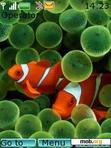 Download mobile theme clownfish nemo