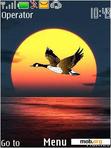 Download mobile theme Sunset Bird