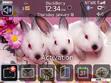 Download mobile theme Family of Rabbits