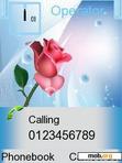 Download mobile theme RoseOnBlue