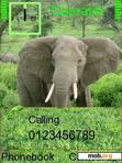 Download mobile theme elephant