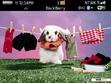 Download mobile theme Pet Rabbits