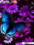 Download mobile theme butterfly