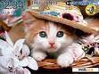 Download mobile theme Relaxing cat