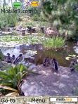 Download mobile theme Garden Pond