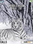 Download mobile theme White Tiger