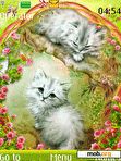 Download mobile theme kittys animated