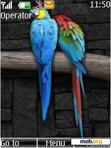 Download mobile theme Parrots