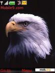 Download mobile theme Eagle