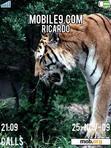 Download mobile theme tigres