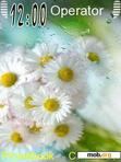 Download mobile theme Flowers