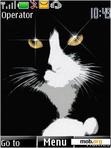 Download mobile theme Animated Cats Eye