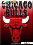 Download mobile theme Chicago Bulls