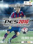 Скачать тему anim_PES_2010