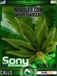 Download mobile theme Marijuana_Ericsson