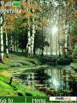 Download mobile theme Birch grove