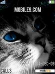 Download mobile theme Kitty