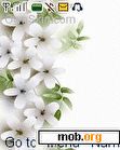 Download mobile theme White Flowers