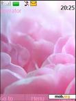 Download mobile theme Pink Peony