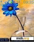 Download mobile theme blue flower