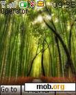 Download mobile theme bamboo forest