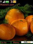 Download mobile theme Mandarins