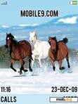 Download mobile theme Horses