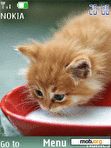 Download mobile theme Red kitten animated