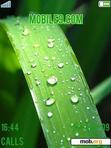 Download mobile theme Rainy Grass