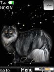 Download mobile theme Star cat, animation