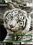 Download mobile theme White tigers, slide, clock