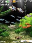 Download mobile theme ANIMATED AQUARIAM BEST