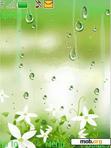 Download mobile theme Flower Rain