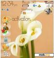Download mobile theme Calla Lily has its spring