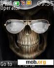 Download mobile theme skull for ray ban