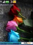 Download mobile theme Colored_Roses