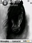 Download mobile theme black horse