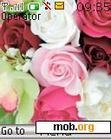 Download mobile theme cute flowers