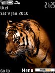 Download mobile theme Tiger