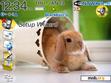 Download mobile theme Cute Rabbit