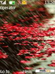 Download mobile theme Rain Rose