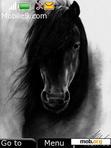 Download mobile theme black horse