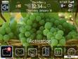 Download mobile theme A vineyard