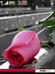 Download mobile theme Animated_Rainy_Rose