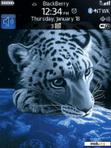 Download mobile theme White Tiger Family