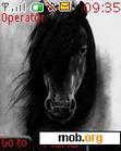 Download mobile theme black horse