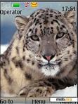 Скачать тему Snow Leopard