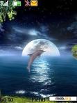 Download mobile theme dolphin moon