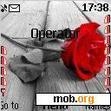 Download mobile theme red rose