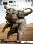 Download mobile theme funny elephants